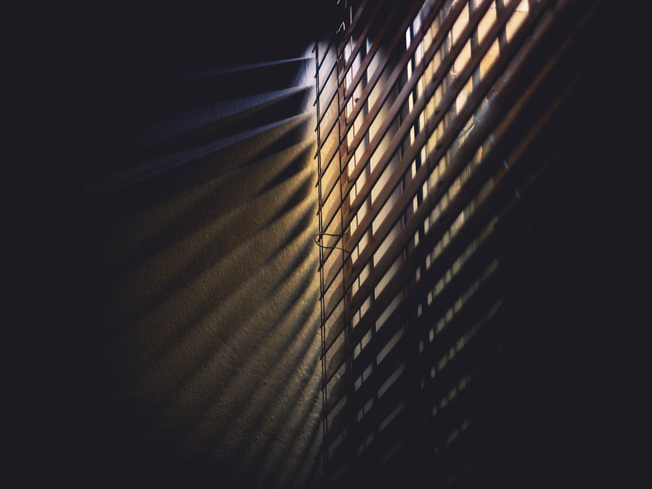 digital